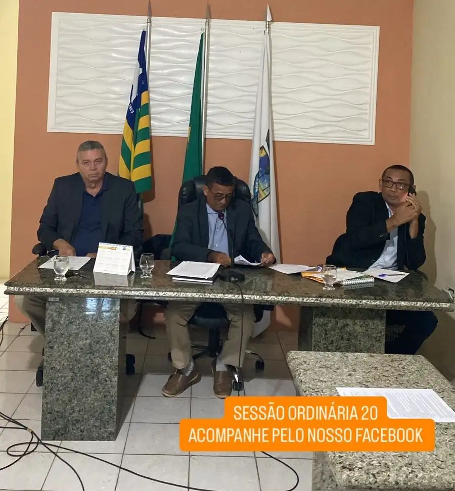 Sessão Ordinaria 20/2025